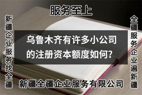 烏魯木齊有許多小公司的注冊資本額度如何？