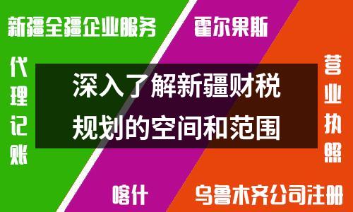 深入了解新疆財(cái)稅規(guī)劃的空間和范圍