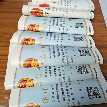 烏魯木齊勞務(wù)資質(zhì)辦理?xiàng)l件詳解：從基礎(chǔ)到細(xì)節(jié)，一文全掌握！