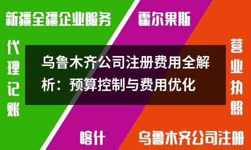 烏魯木齊公司注冊費(fèi)用全解析：預(yù)算控制與費(fèi)用優(yōu)化