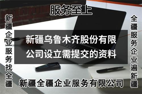 新疆烏魯木齊股份有限公司設(shè)立需提交的資料