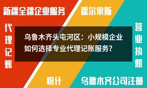 烏魯木齊頭屯河區(qū)：小規(guī)模企業(yè)如何選擇專業(yè)代理記賬服務(wù)？