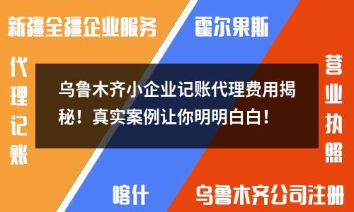 烏魯木齊小企業(yè)記賬代理費(fèi)用揭秘！真實(shí)案例讓你明明白白！