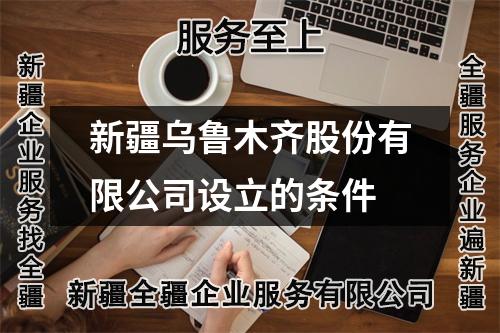 新疆烏魯木齊股份有限公司設(shè)立的條件