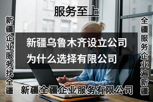 新疆烏魯木齊設(shè)立公司為什么選擇有限公司
