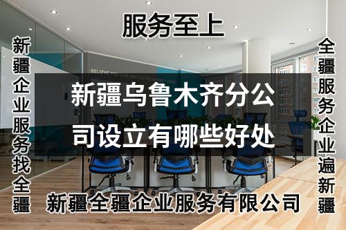新疆烏魯木齊分公司設(shè)立有哪些好處