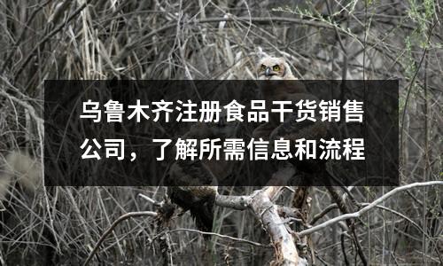 烏魯木齊注冊食品干貨銷售公司，了解所需信息和流程