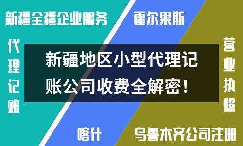 新疆地區(qū)小型代理記賬公司收費(fèi)全解密！