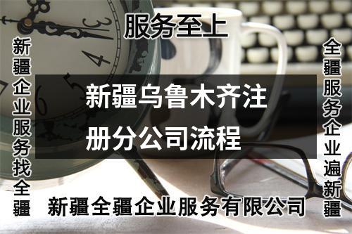 新疆烏魯木齊注冊分公司流程