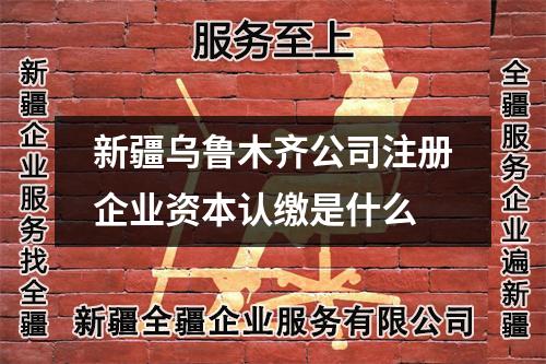 新疆烏魯木齊公司注冊(cè)企業(yè)資本認(rèn)繳是什么