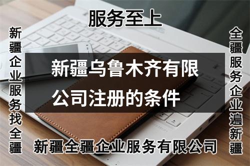 新疆烏魯木齊有限公司注冊(cè)的條件