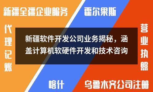 新疆軟件開發(fā)公司業(yè)務(wù)揭秘，涵蓋計(jì)算機(jī)軟硬件開發(fā)和技術(shù)咨詢
