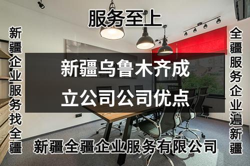 新疆烏魯木齊成立公司公司優(yōu)點