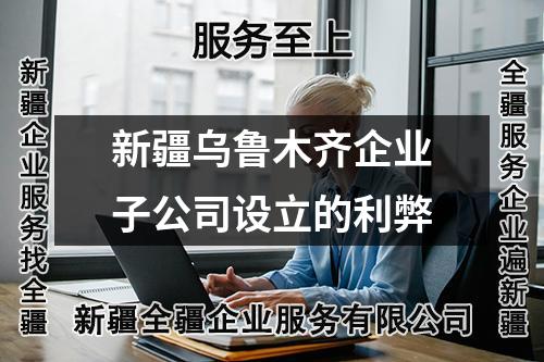 新疆烏魯木齊企業(yè)子公司設(shè)立的利弊